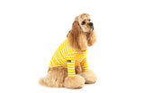 [Dentists Appointment] 3/4 Sleeve T-shirt Yellow & White Stripe