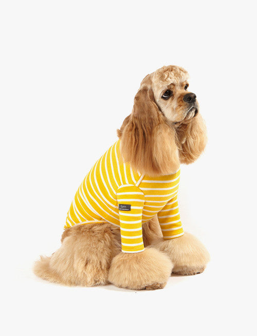 [Dentists Appointment] 3/4 Sleeve T-shirt Yellow & White Stripe